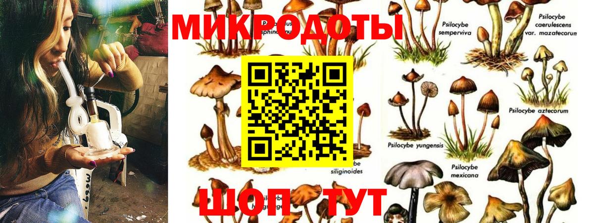 Псилоцибиновые грибы MAGIC MUSHROOMS Надым
